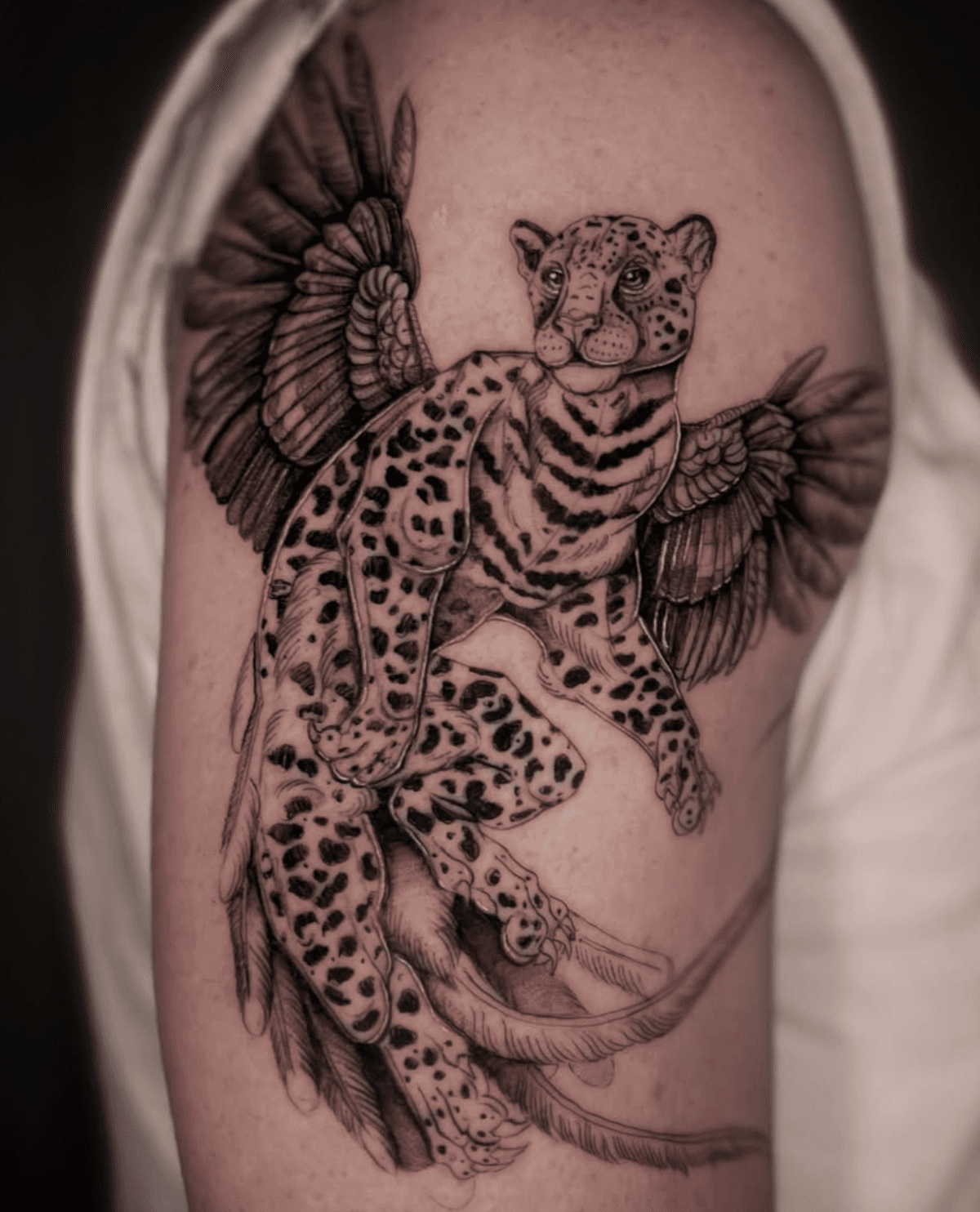 Winged Leopard