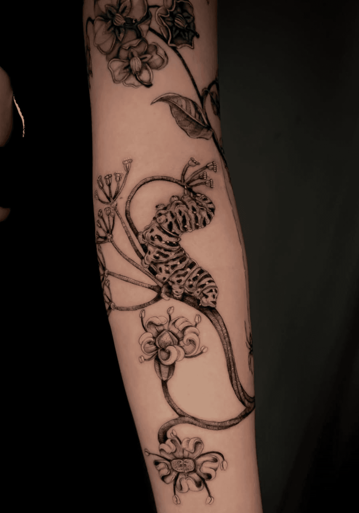 Caterpillar Among Flowers