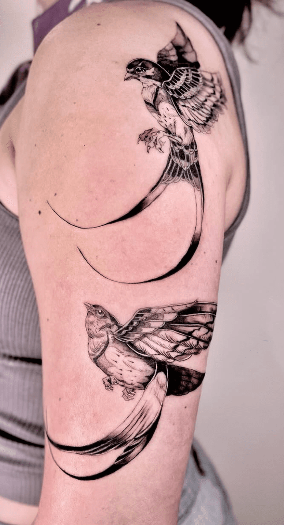 Elegant Swallows in Flight