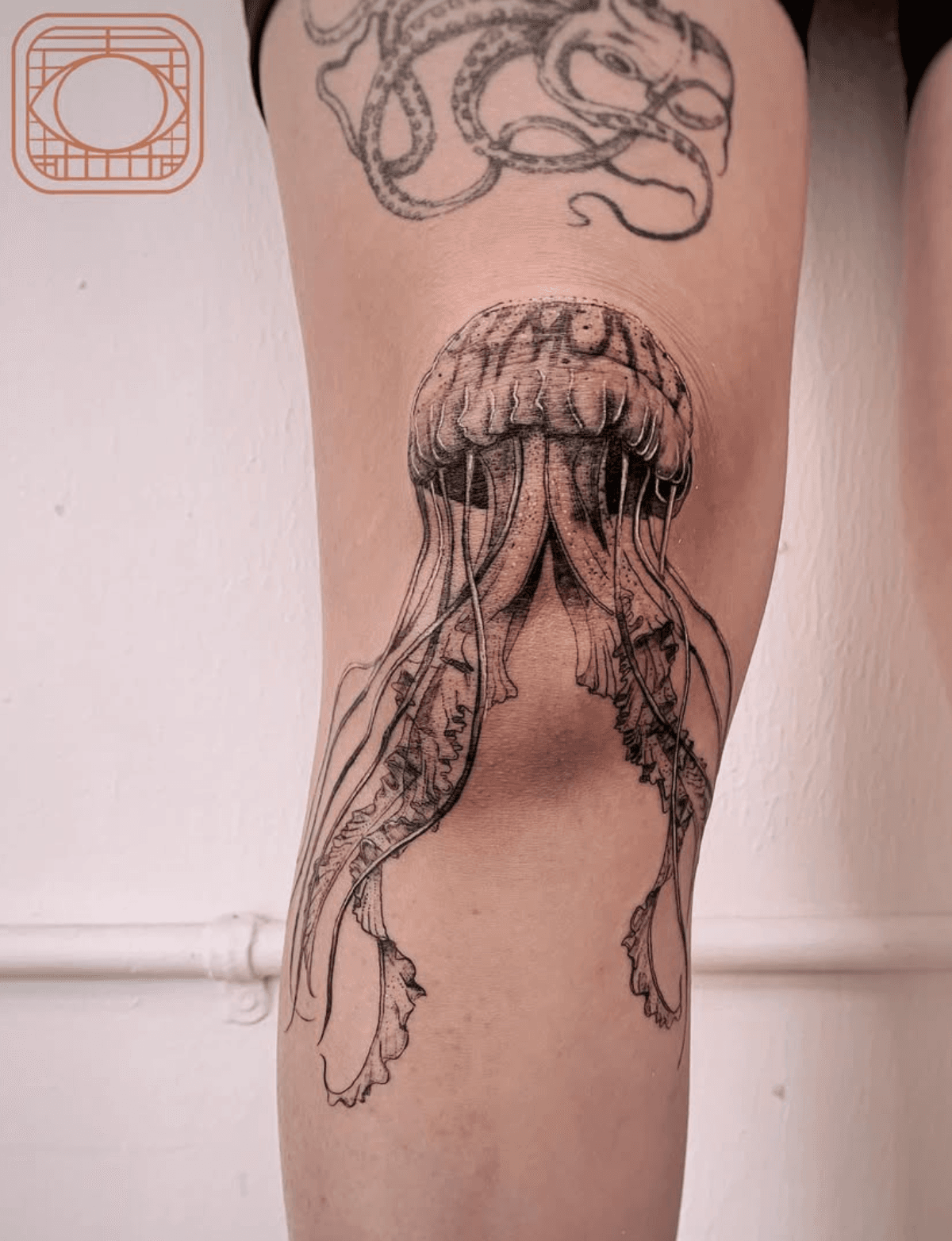 Elegant Jellyfish