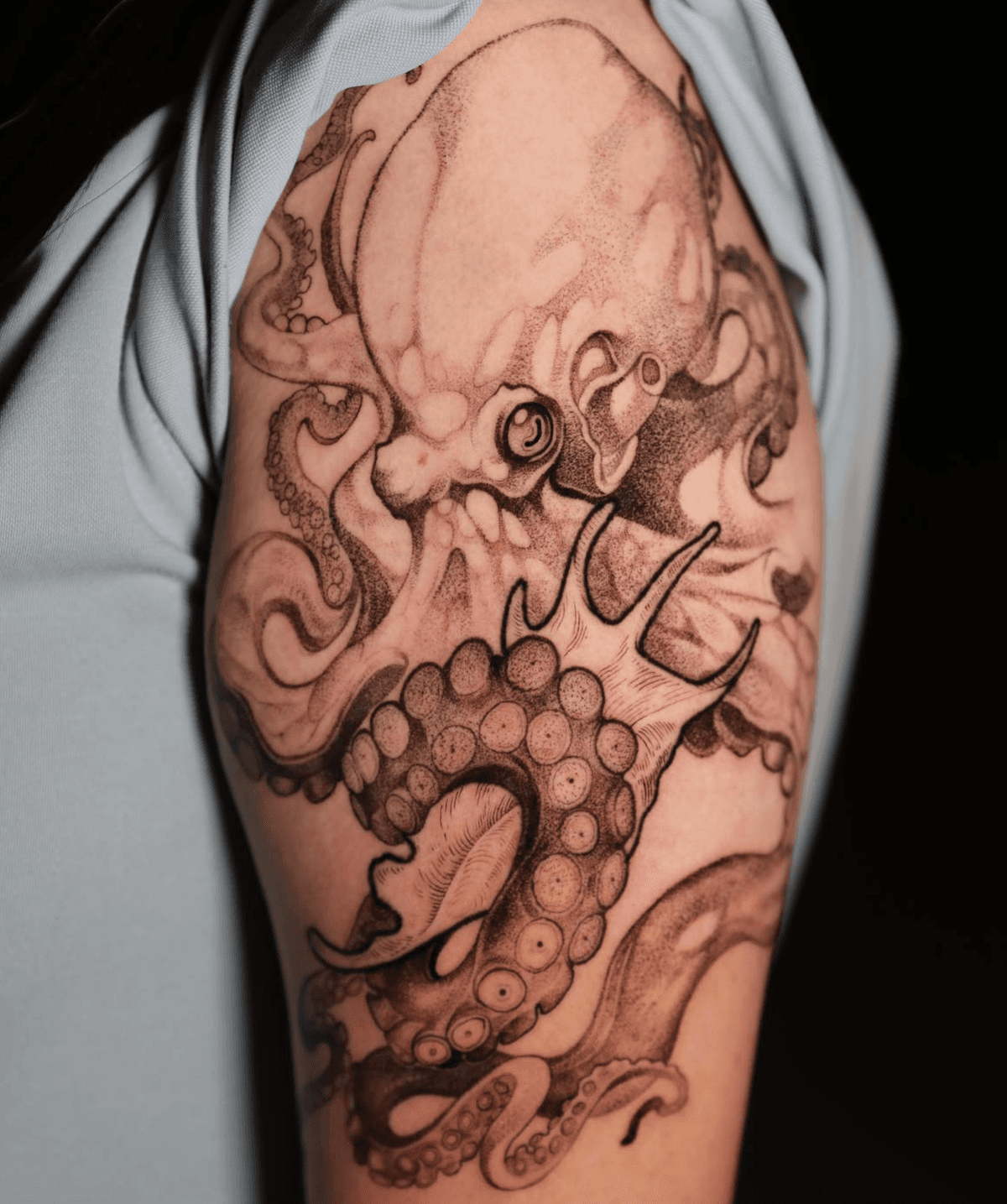 Outlined Octopus