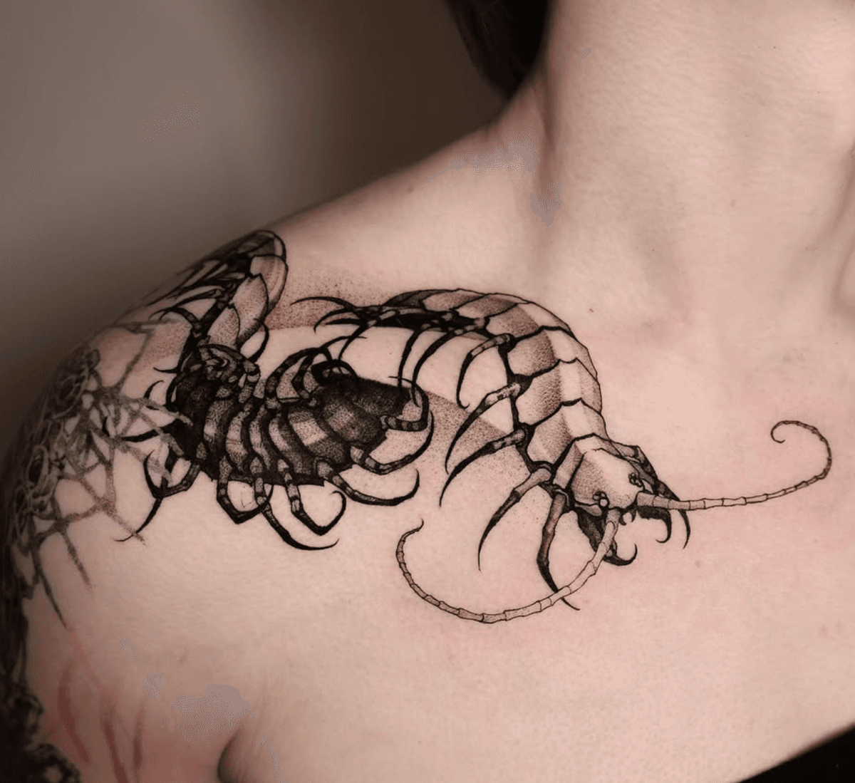 Scorpion on the Shoulder