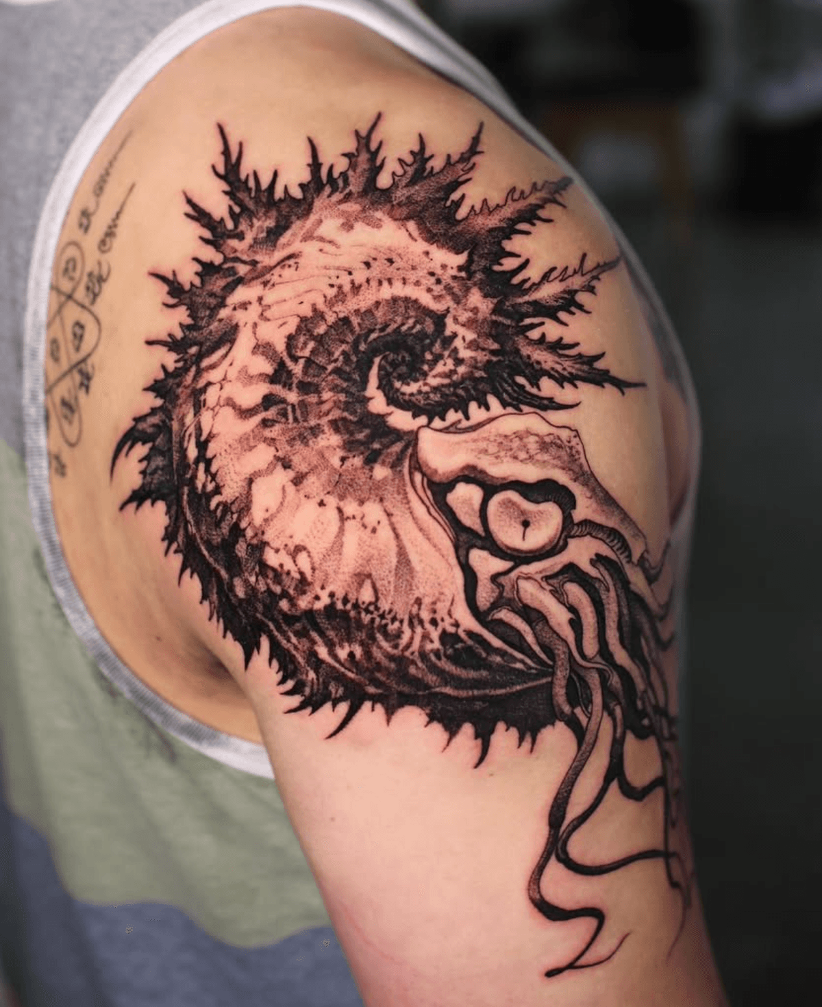 Spiral Nautilus with Tentacles