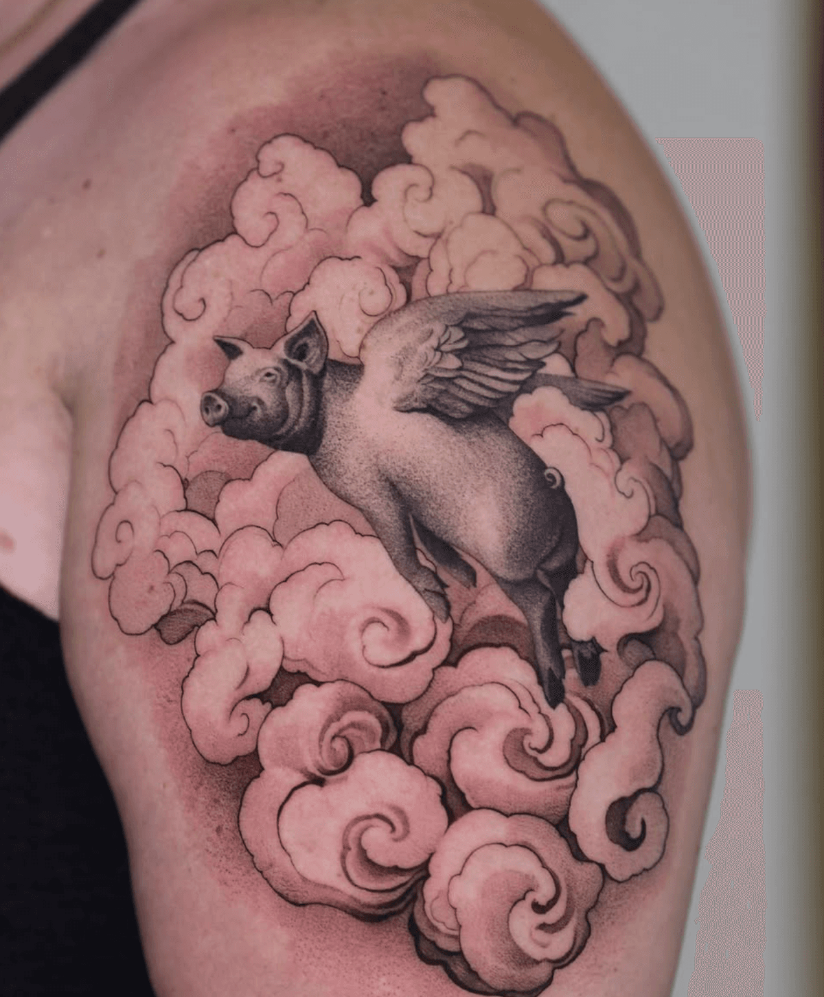 Winged Pig Among Clouds