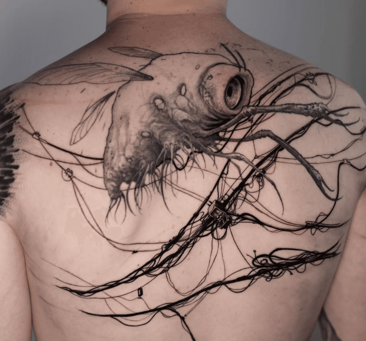 Surreal Fly in Power Lines