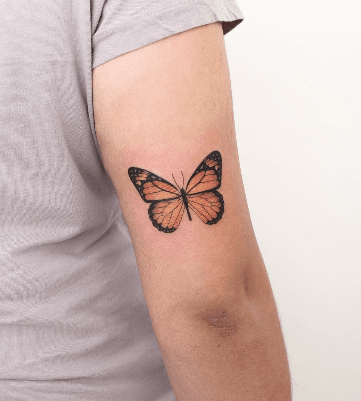 Colorful Classic Butterfly