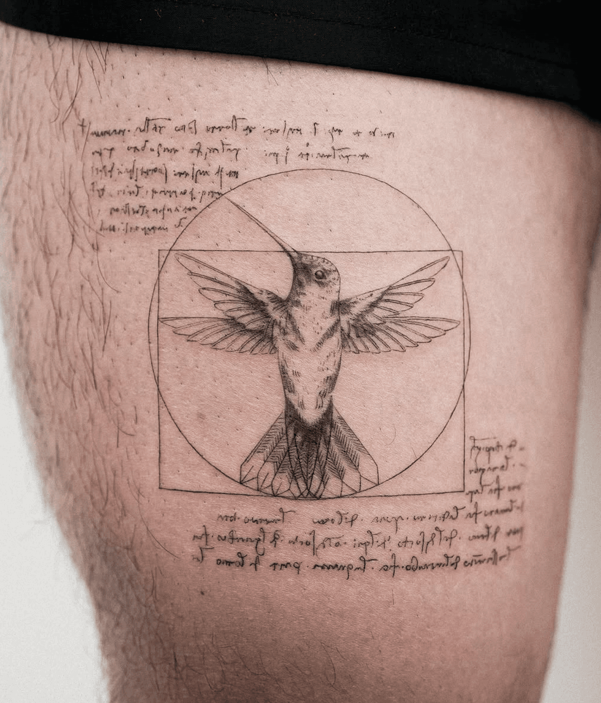 Vitruvian Hummingbird