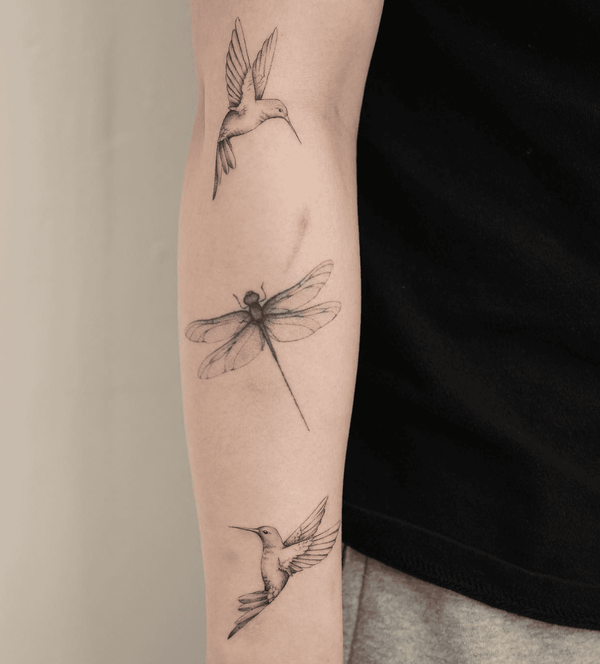 Fluttering Insects and Birds