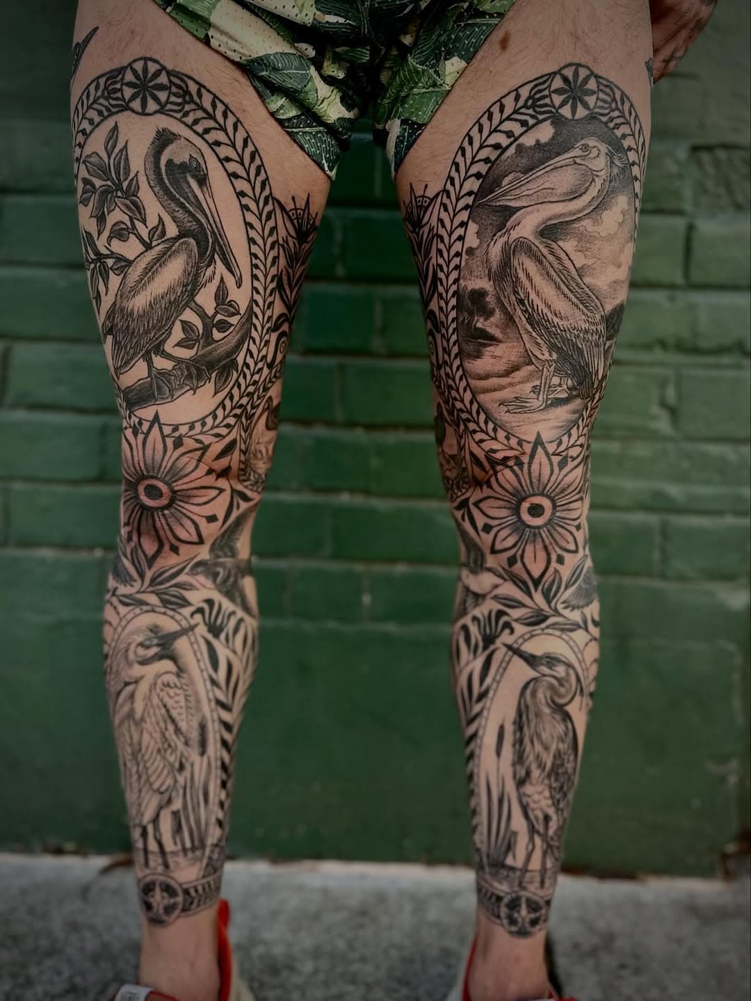 Pelican and Heron Leg Sleeves