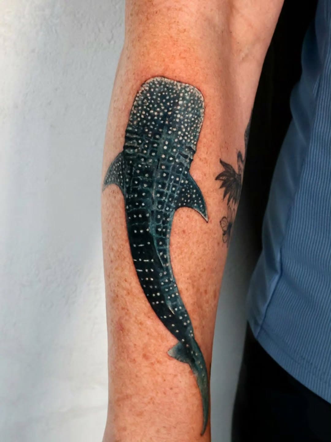 Whale Shark Creature