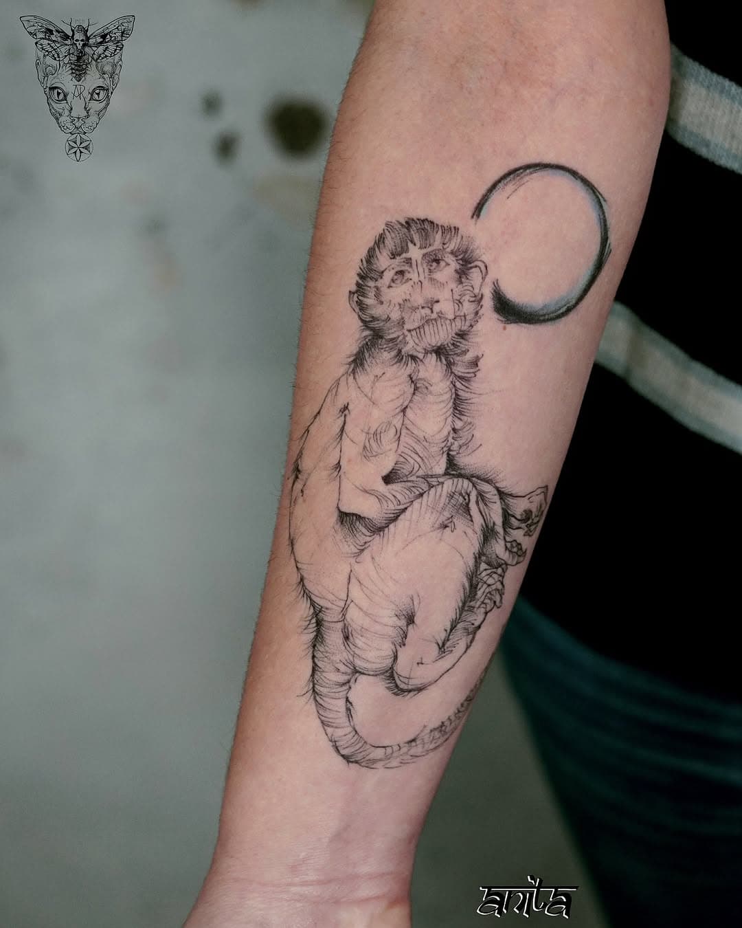 Primate with celestial ring