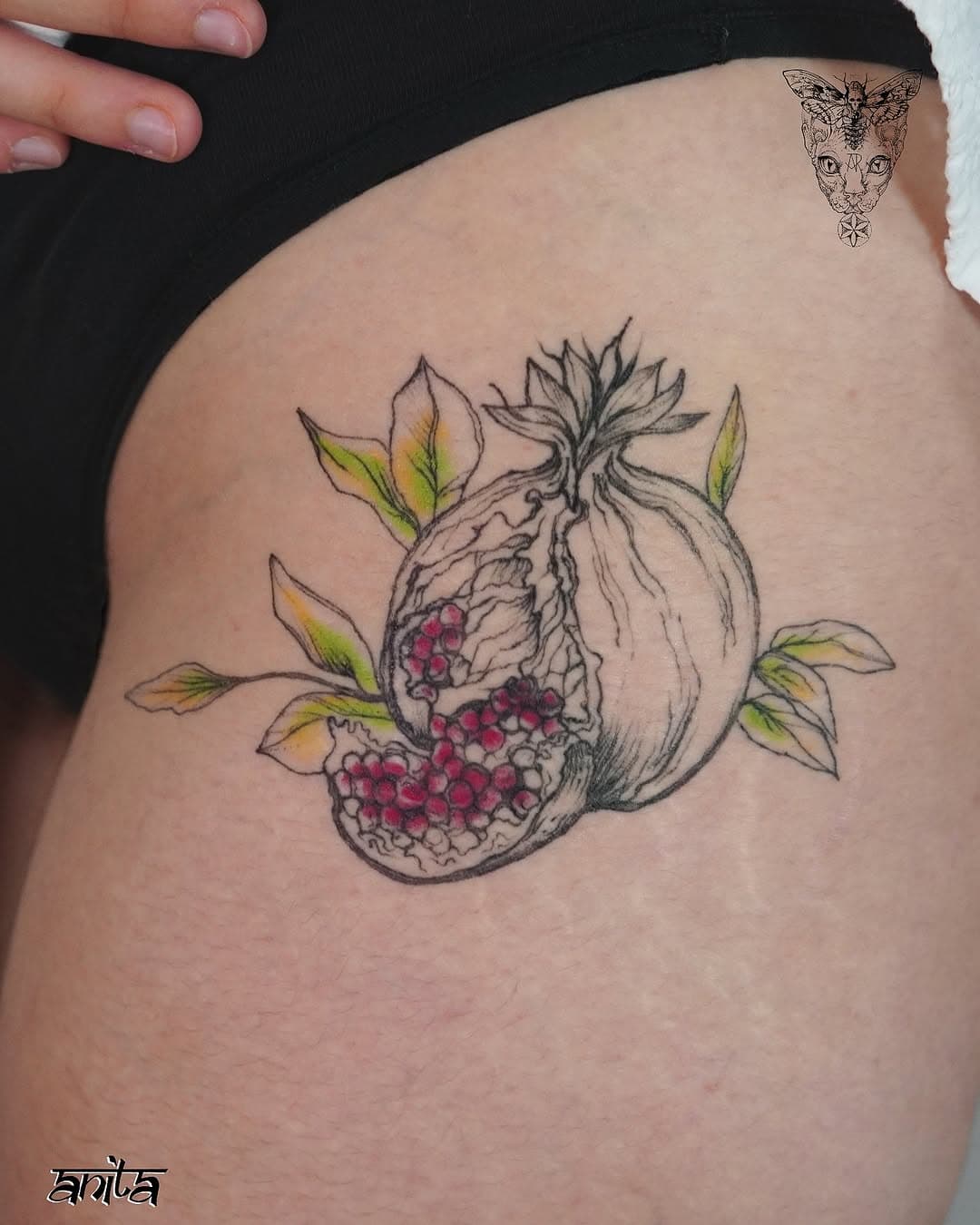 Pomegranate fruit with foliage