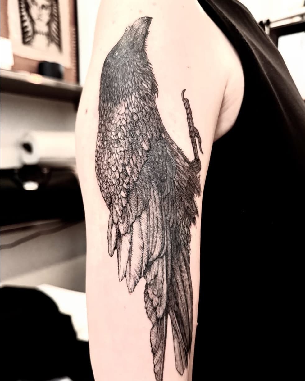 Upward looking raven