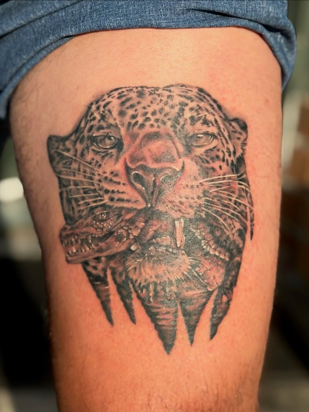 Leopard and Snake Embrace