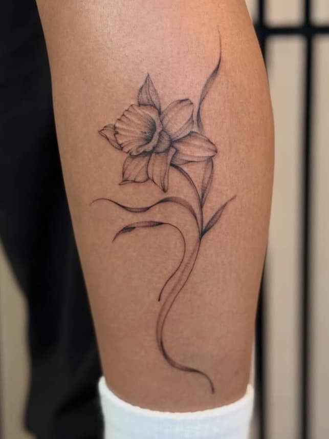 Delicate Daffodil Stem