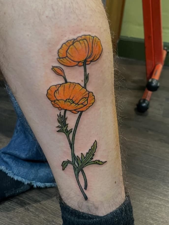 Orange Poppy Cluster