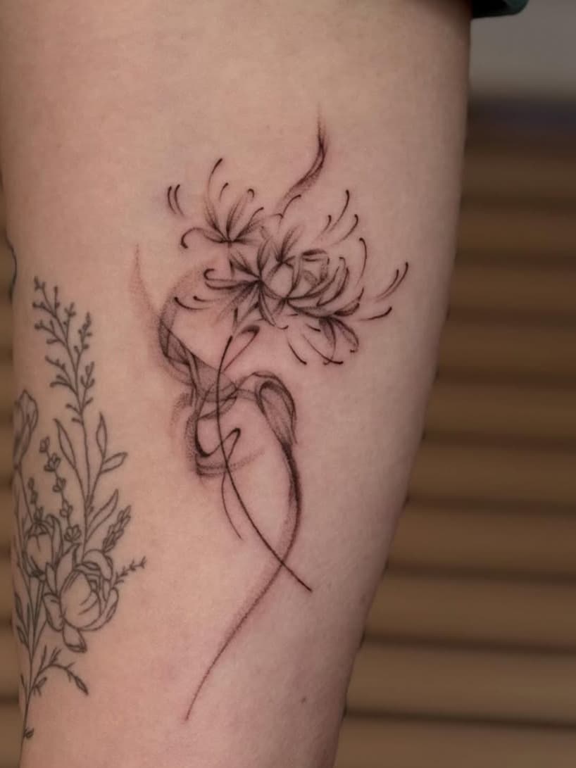 Delicate Spider Lily Blossom