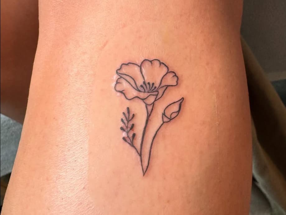 Delicate Poppy Bloom