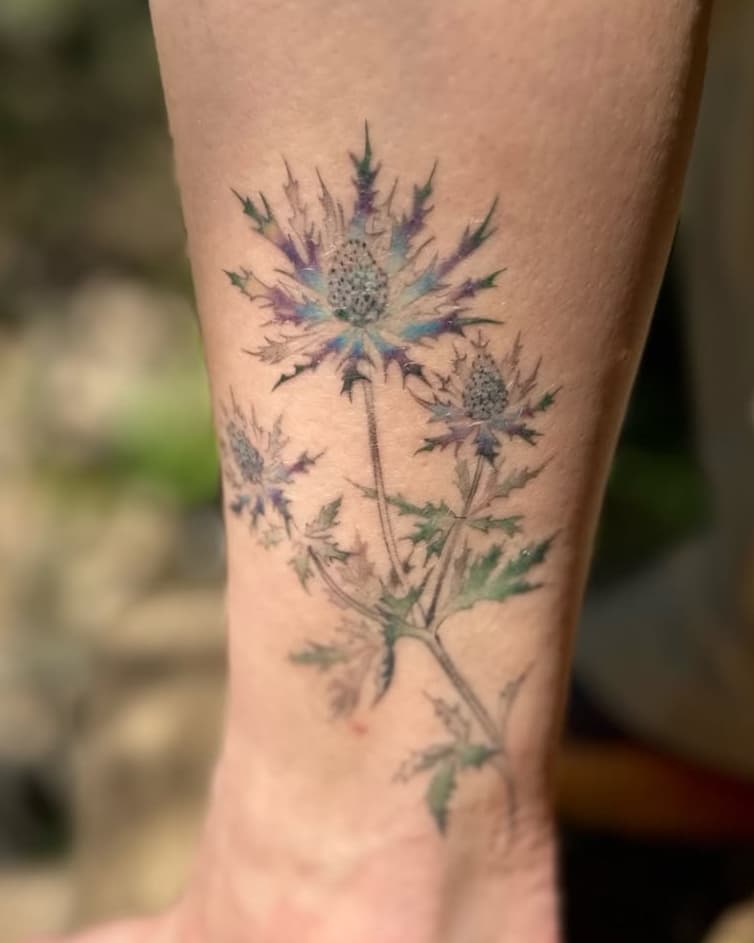 Floral Thistle Cluster