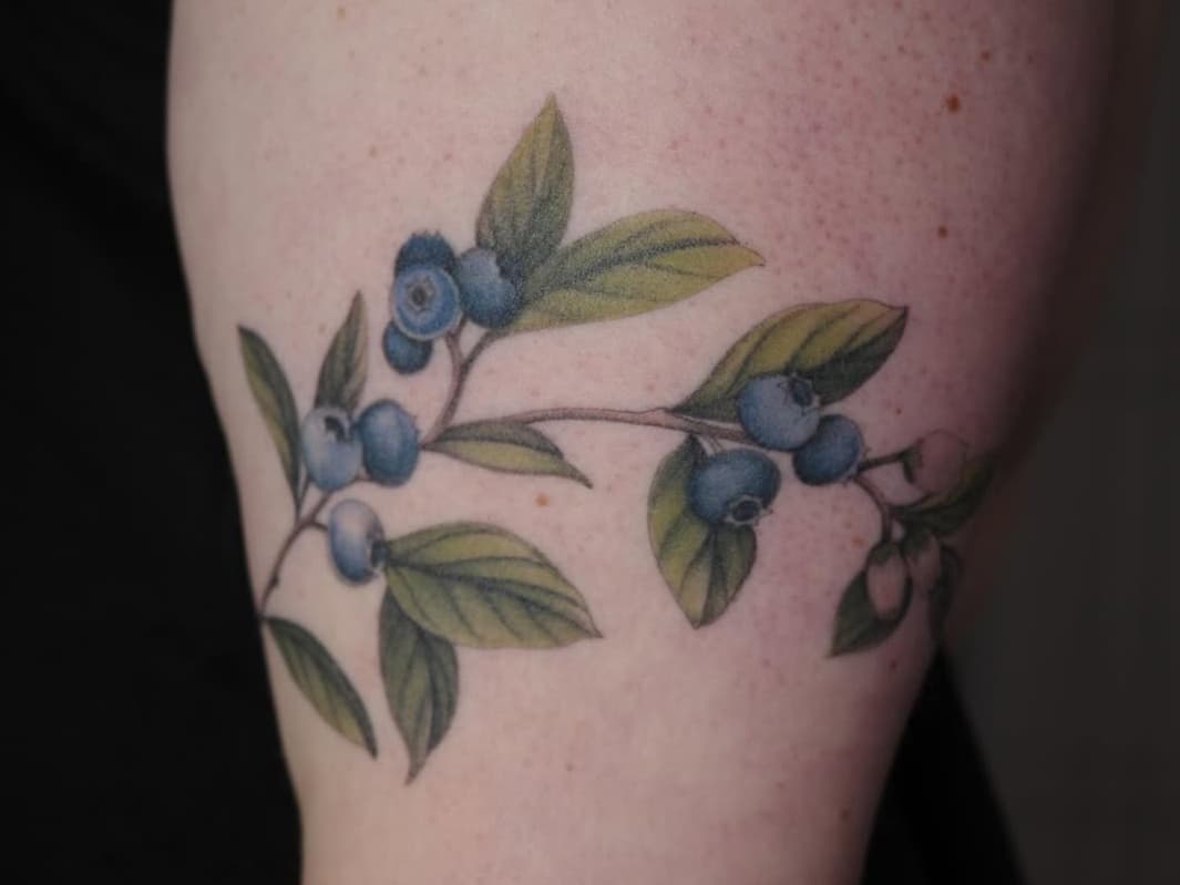 Blueberry Branch Foliage