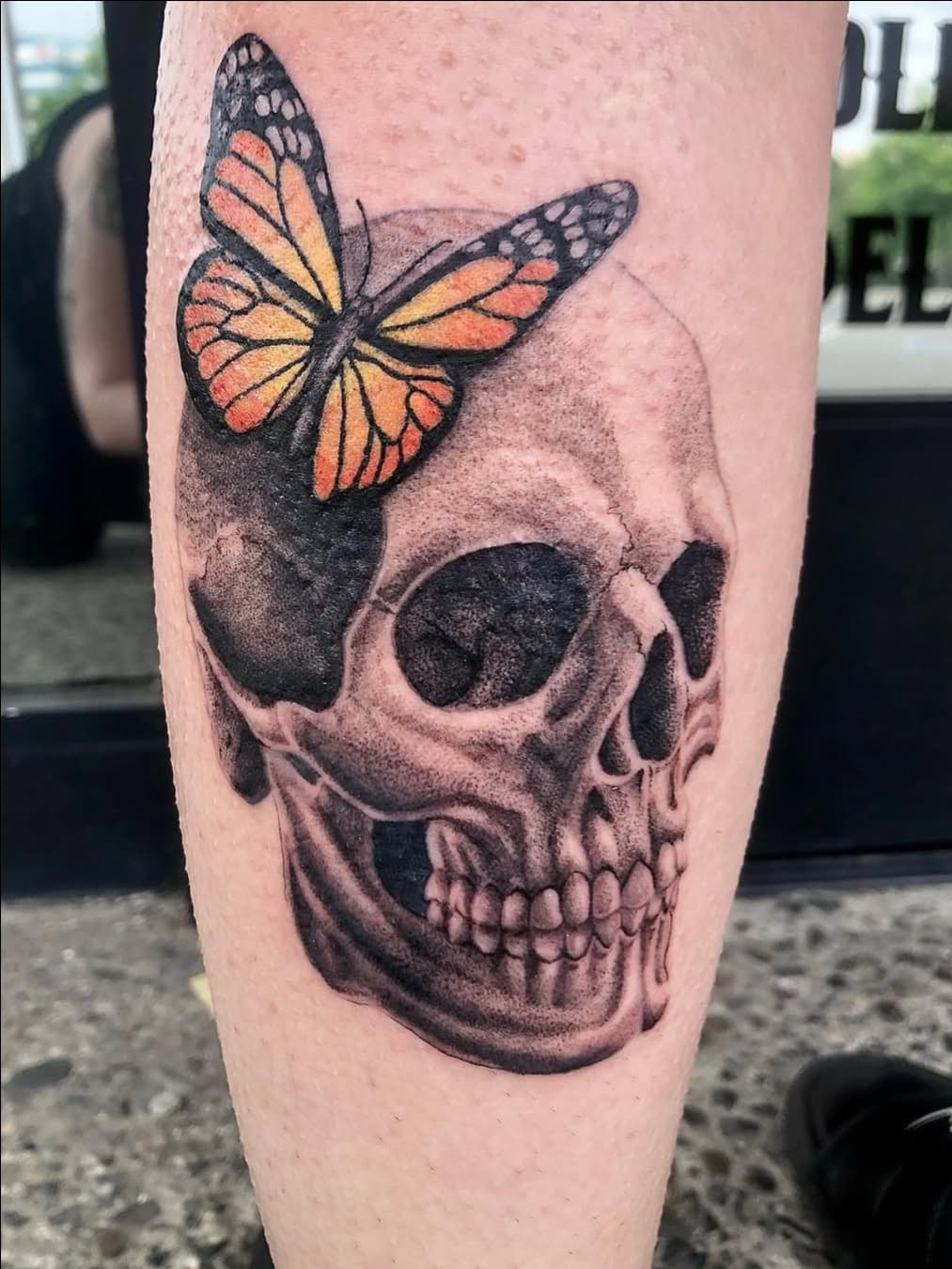 Monarch butterfly on a skull