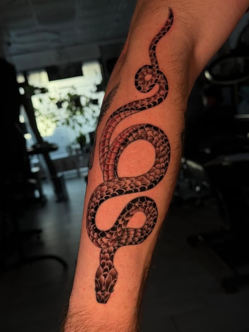 Coiled serpent