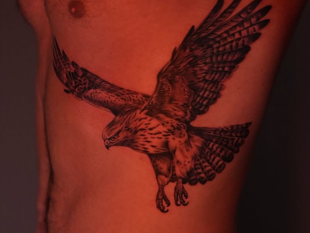 Flying raptor on side