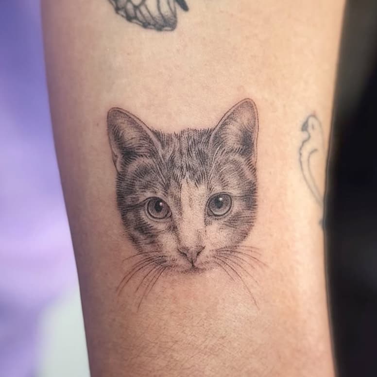 Feline companion with butterfly