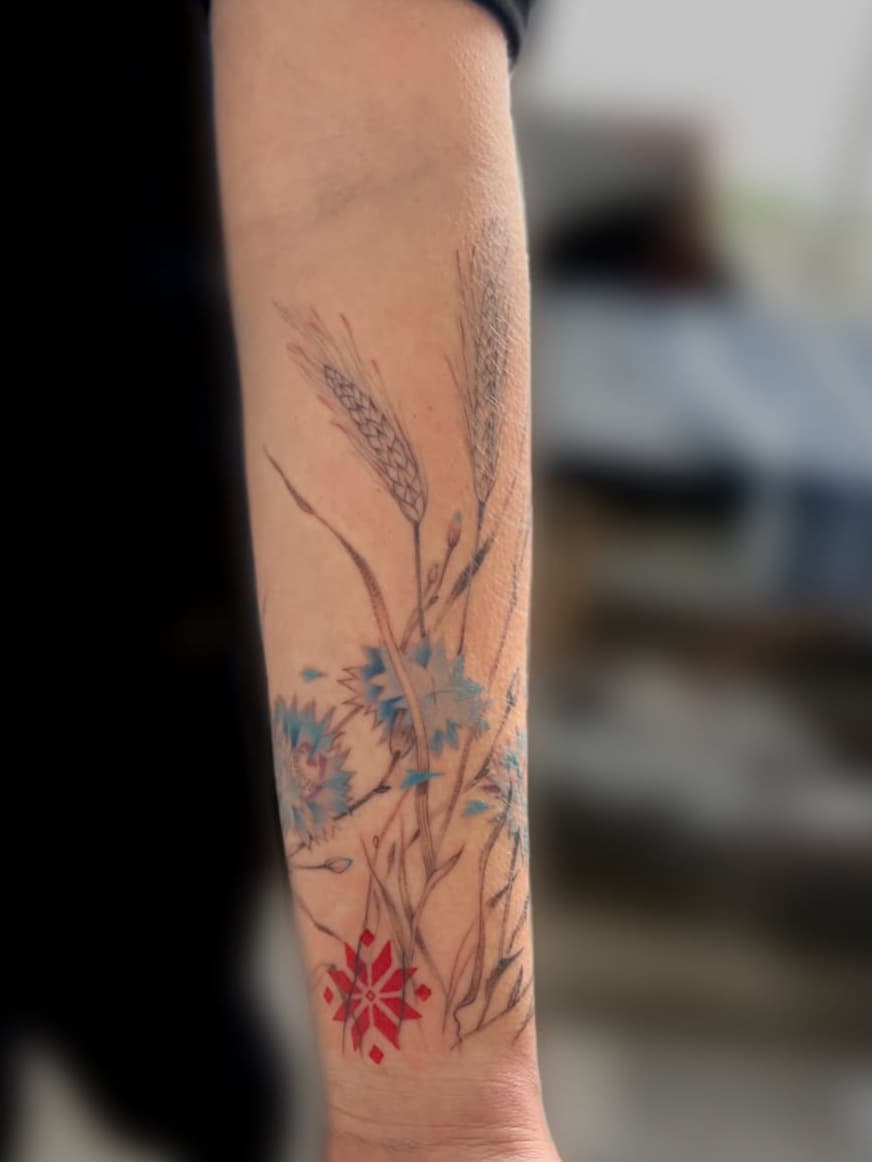 Wheat and cornflower botanical