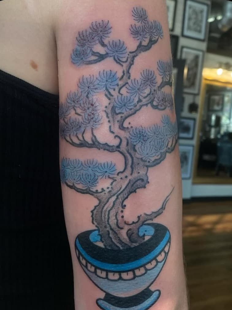 Bonsai Tree in a Blue Pot