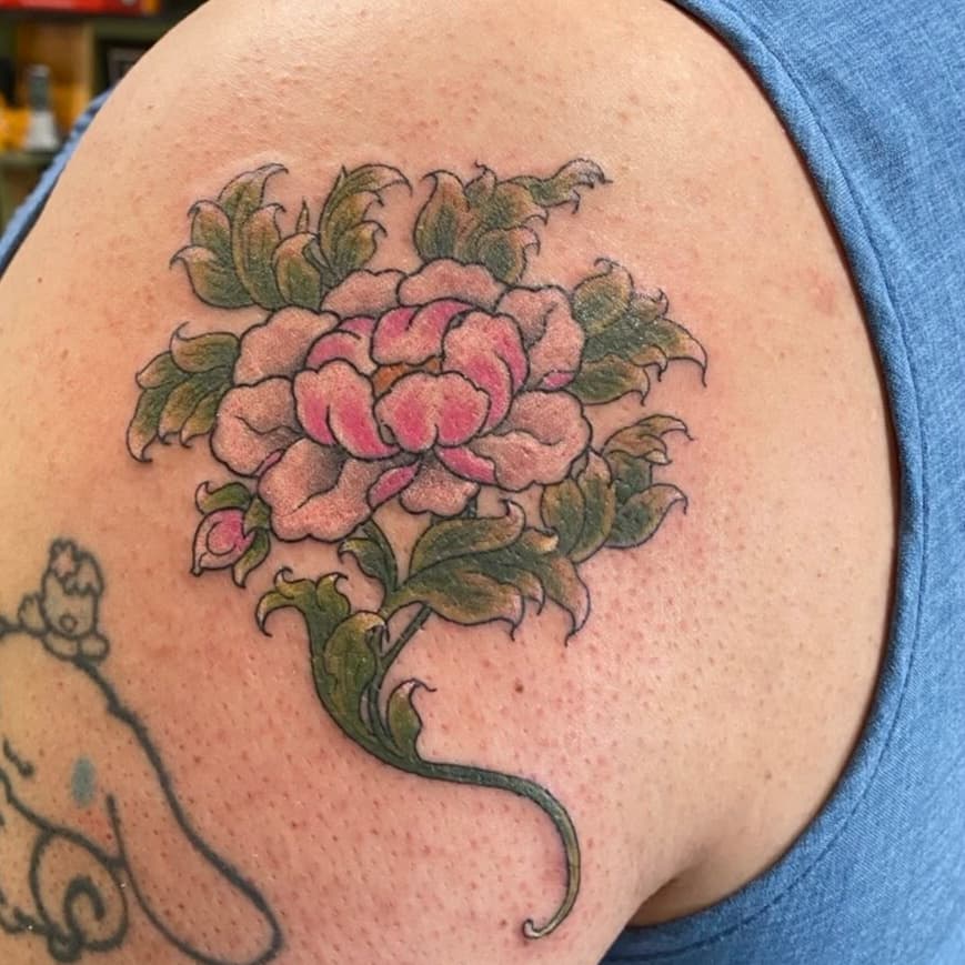 Colorful Peony Bloom