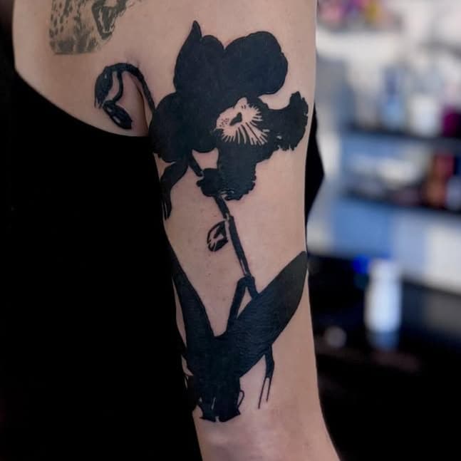 Orchid and Roaring Cheetah