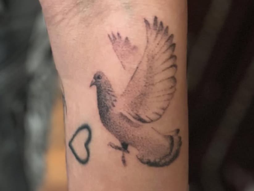 Flying Dove and Heart