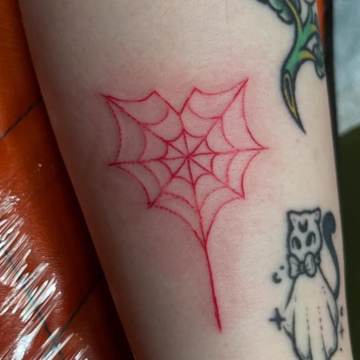 Red Spiderweb, Rose and Ghost Cat