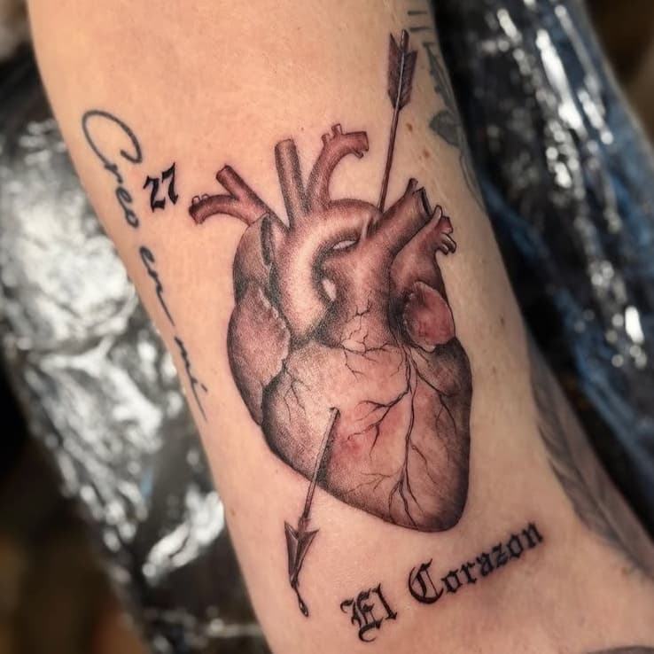 Anatomical Heart and Arrow
