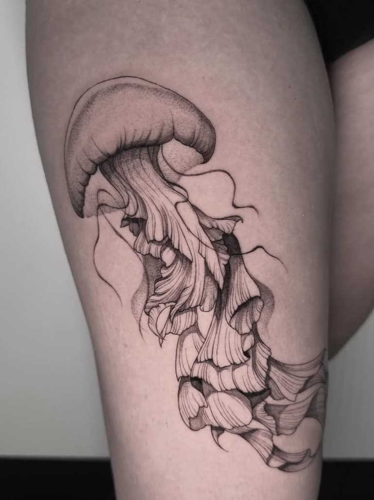 Jellyfish sea creature