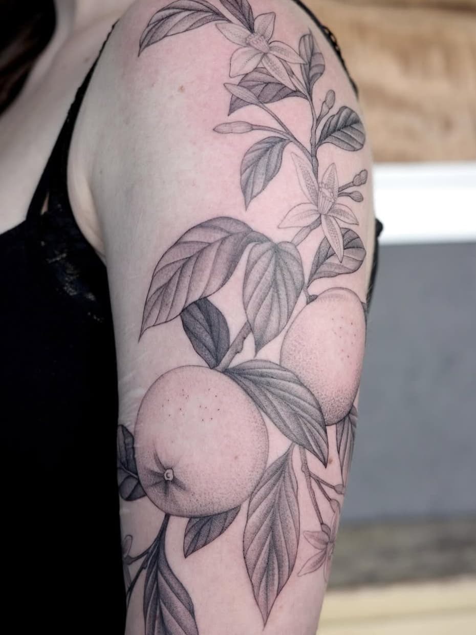 Botanical citrus branch