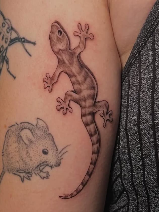 Gecko and Rodent Creatures