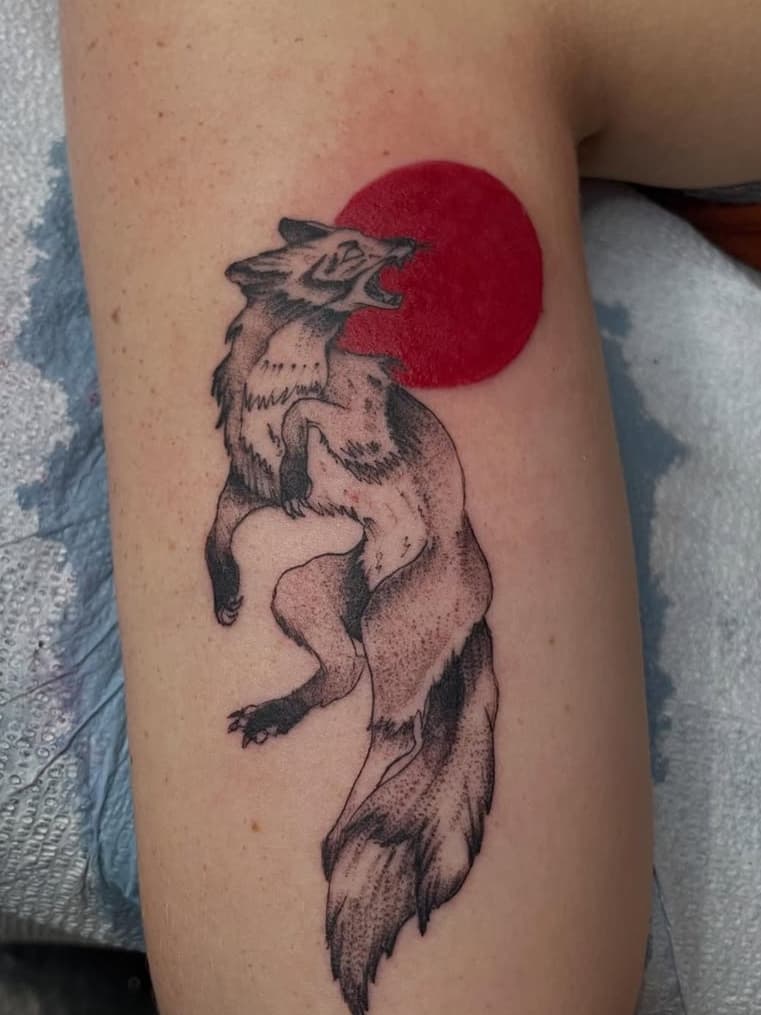 Howling fox under a crimson disc