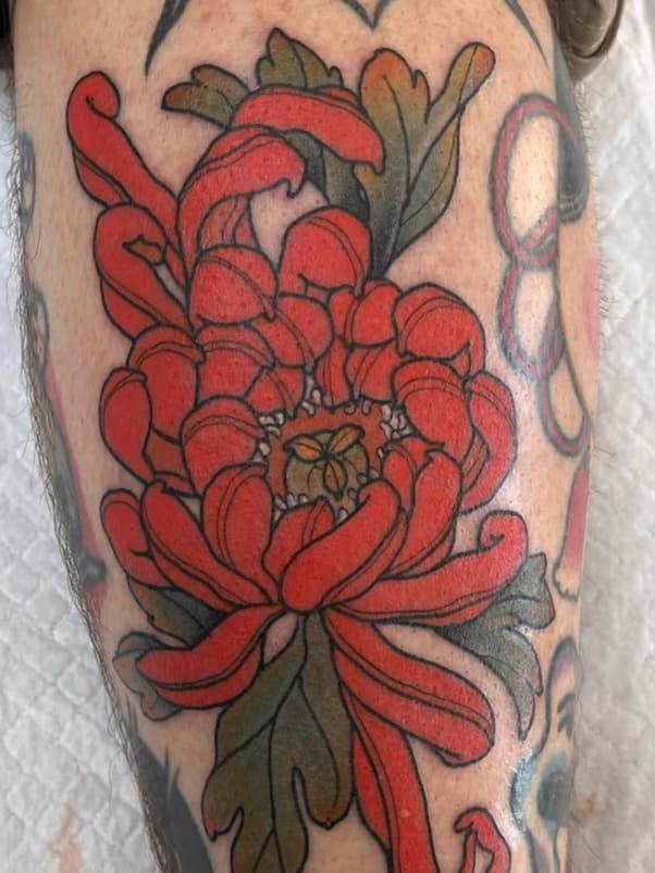 Vibrant Chrysanthemum Blossom