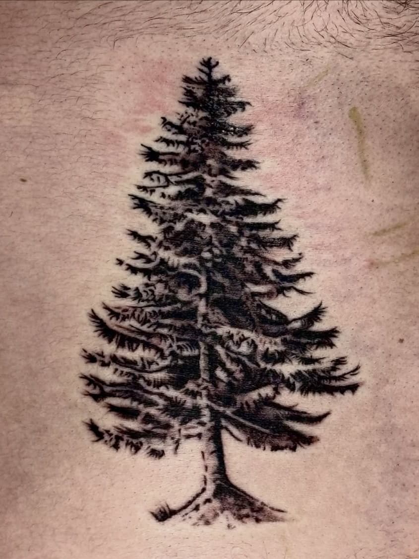 Pine tree on skin