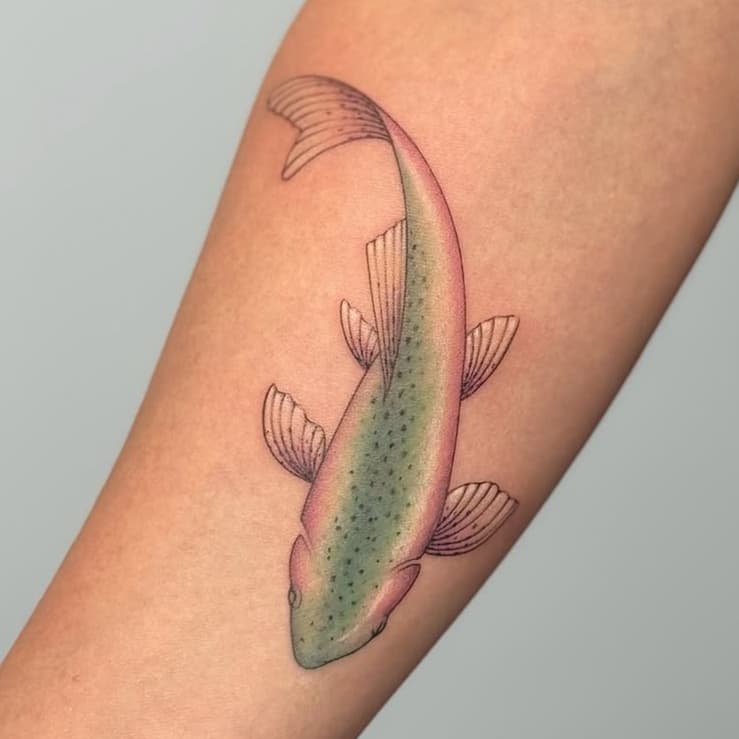 Rainbow trout on arm