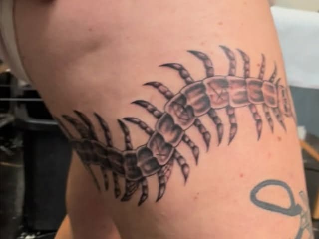 Segmented centipede creature